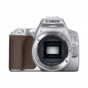Appareil photo Reflex Canon EOS 250D - prix Tunisie