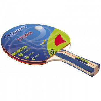 RAQUETTE DE TENNIS DE TABLE...